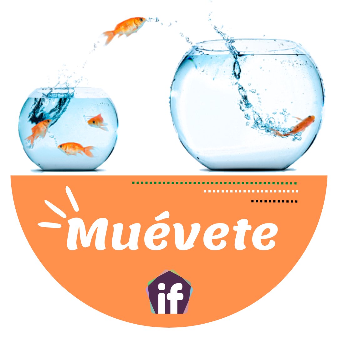 muévete 24